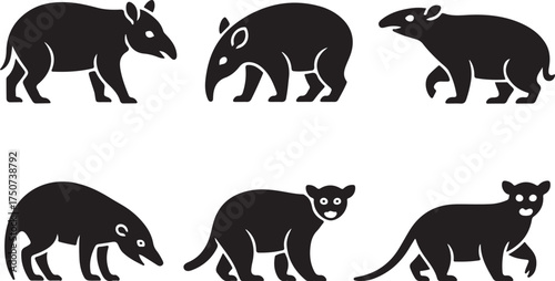Diverse jungle animal silhouettes for educational design