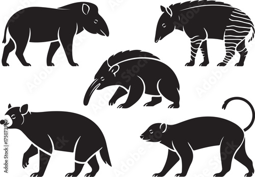 Diverse wild animals collection silhouette style