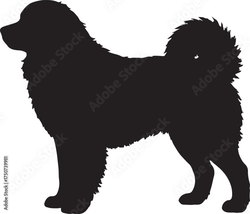Dog great pyrenees silhouette vector flat illustration design.