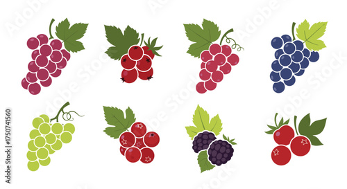 A vibrant collection of fresh berry fruits including red grapes green grapes blueberries blackberries and currants.
