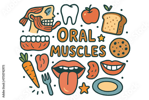Oral Muscle Doodle. Oral muscles. Hand-drawn doodle illustration of Oral muscles. jaw, teeth, molar, tongue,