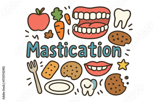 Mastication Doodle Illustration. Mastication. Hand-drawn doodle illustration of Mastication. teeth, molar, jaw