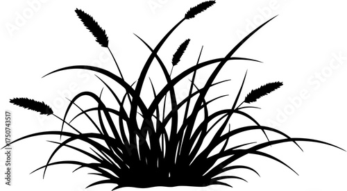 Foto Elegant silhouette of wild grass cluster with feathery seed heads swaying gently