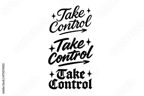 Expressive Calligraphy Styles. Take Control. Create a calligraphy lettering illustration of the phrase: Take