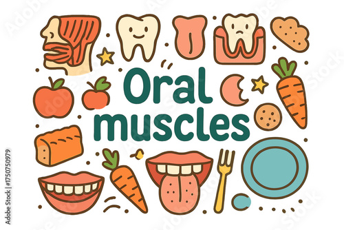 Oral Muscle Doodle. Oral muscles. Hand-drawn doodle illustration of Oral muscles. jaw, teeth, molar, tongue,