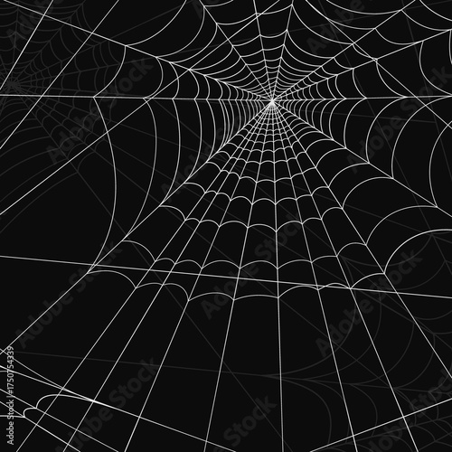 spider web with dew drops, spider web on black background, spider web on dark background