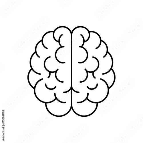 Outline drawing of the brain on transparent background
