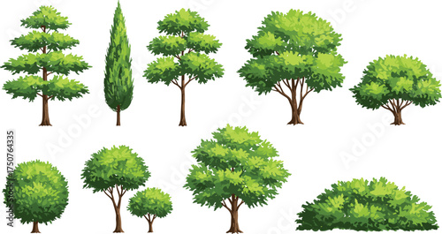 Collection of various green trees and bushes, cartoon landscape elements, perfect for nature scenes, game design, outdoor environments, or educational illustrations.