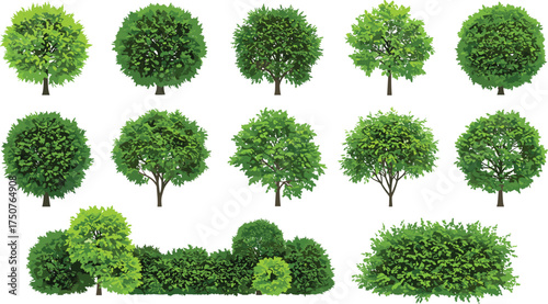 Collection of green leafy trees and shrubs, isolated on white background, perfect for landscape design, gardening projects, nature scenes, and eco concepts.