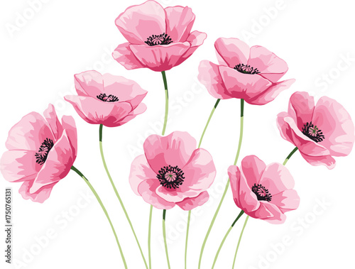 Delicate pink poppy flowers in watercolor style with slender green stems, ideal for spring designs, romantic themes, greeting cards, and nature-inspired digital art