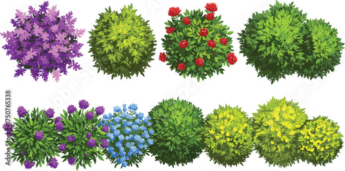 Colorful garden bushes vector set, decorative flowering shrubs and green foliage, vibrant landscape elements, botanical illustration, isolated nature design graphics