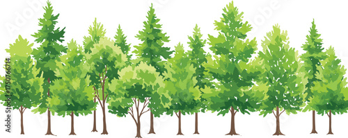 Lush green forest trees in watercolor style, perfect for nature backgrounds, eco designs, spring themes, and environmental projects with clean white space
