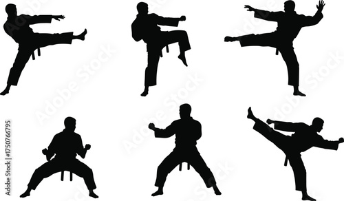 Martial arts silhouettes, karate poses, taekwondo kicks, self defense training, martial artist practice, combat sports moves, fitness discipline, traditional uniform action