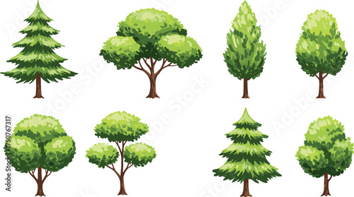 Set of green trees illustration, cartoon forest plants, summer nature elements, eco landscape design, natural foliage, outdoor environment, isolated on white background