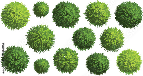 Top view green bushes vector set, decorative shrub foliage collection, round garden plants, nature elements for landscape design, isolated vegetation illustration