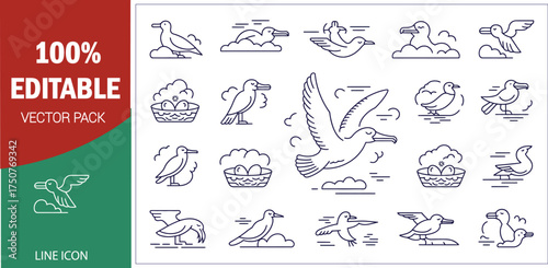 Bird and Nest Line Icons flying cloud