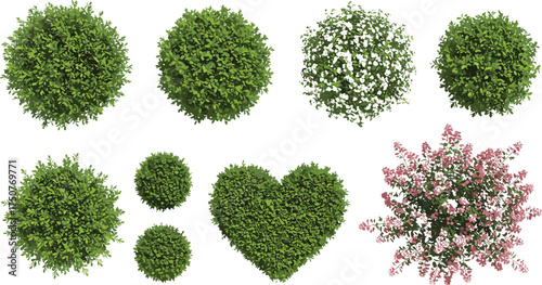 Top view of decorative green bushes and heart-shaped shrubs with flowers, perfect for landscaping, gardening, nature scenes, and outdoor design projects.