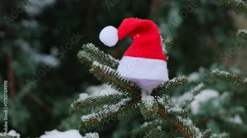 Santa Claus Hat on Snowy Pine Branch in Winter Forest with Falling Snow, Christmas Decoration and New Year Holiday Atmosphere