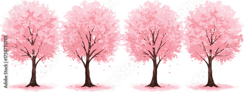 Four beautiful cherry blossom trees in full pink bloom against a white background, perfect for spring, nature, and floral design projects