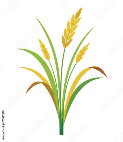 Rice and Wheat Plant Clipart Isolated on White