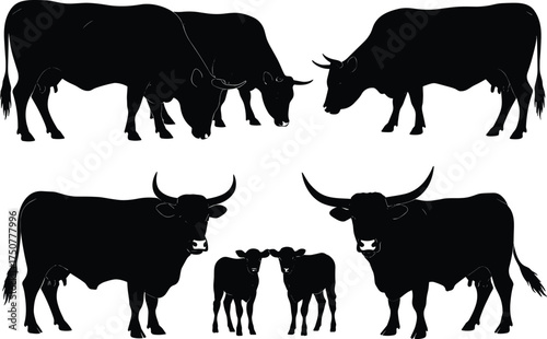 Silhouette vector illustration of cows, bulls and calves in herd, domestic farm animals, livestock cattle design for agriculture, rural countryside concept