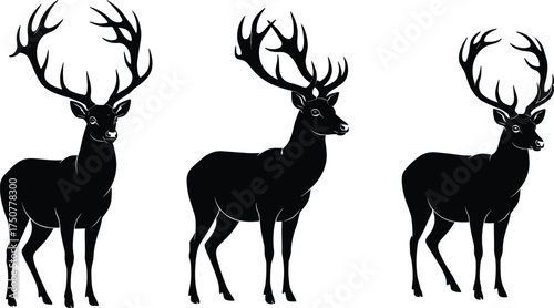 Silhouette vector illustration of majestic deer with large antlers, wildlife stag animal design for hunting, forest nature, outdoor countryside concept