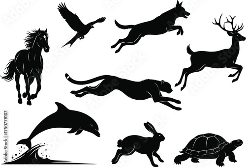 Silhouette vector of animals in motion including horse, cheetah, dolphin, bird, dog, rabbit, deer, tortoise on white background