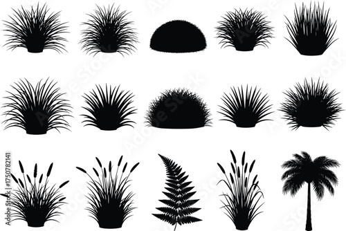 Silhouette vector set of tropical plants, grasses, bushes, fern leaves, palm tree and natural garden foliage isolated on white background illustration