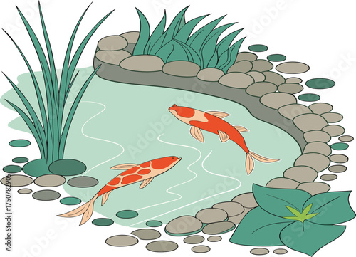Japanese Koi Fish Pond with Rocks and Aquatic Plants Vector