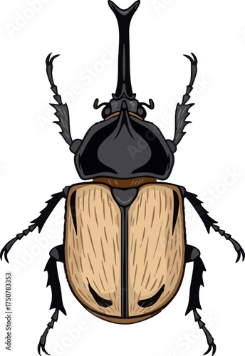 Illustration of a Rhinoceros Beetle Insect with Horns Vector Illustration