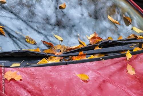 Fallen autumn leaves on a wet car windshield after rain
