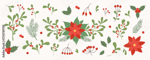 Christmas floral design element set. Poinsettia flowers, fir branches, holly plant, mistletoe, red berries, green petals. Botanical vector design template for greeting card, print, holiday poster