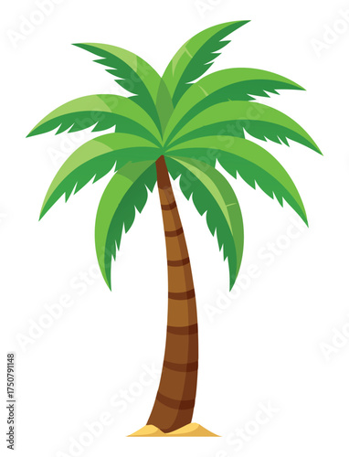 palm tree vector illustration