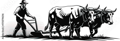 Engraving of a farmer plowing a field with oxen vintage illustration of agriculture and traditional farming methods