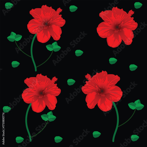 Hibiscus flower