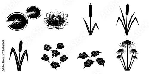 Aquatic Plant Icons. Colorful isometric vector icons set of aquatic and water plants: water lily pad, lotus flower, cattail reed, duckweed float, papyrus