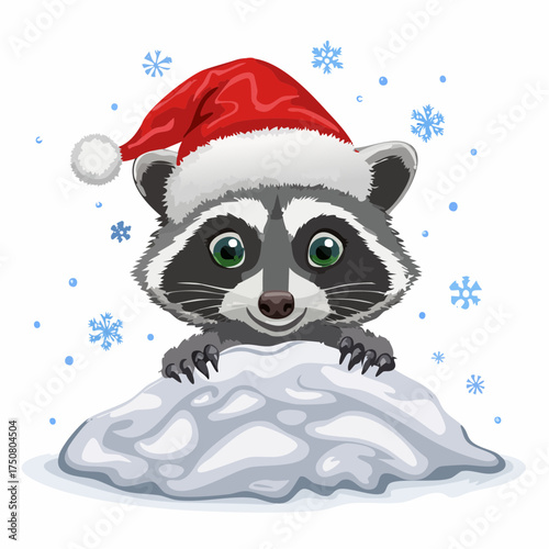 Waschbärjunges im Schnee