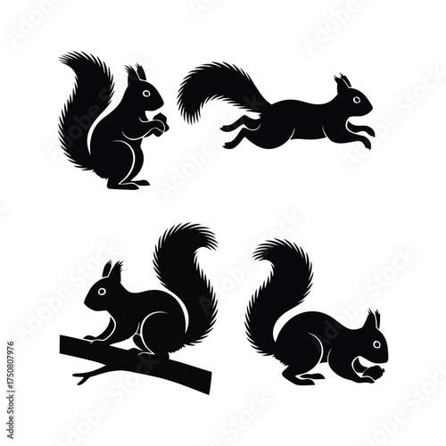 Assorted black squirrel silhouettes in various dynamic poses. A collection of vector icons for graphic design