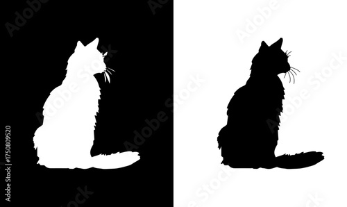 cat silhouette set vector illustration, cat silhouette black vector, illustration, cat, cats, animal, wildlife animal silhouette, silhouettes, silhouette, black, vector, design, illustration, symbol,
