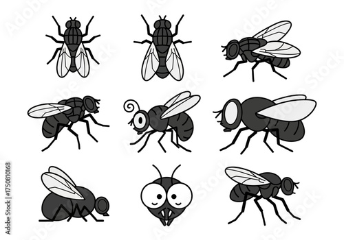 Set of various house fly and insect cartoon illustrations in black and white. Isolated vector pack.

