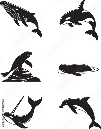 Ocean mammals collection marine life icons