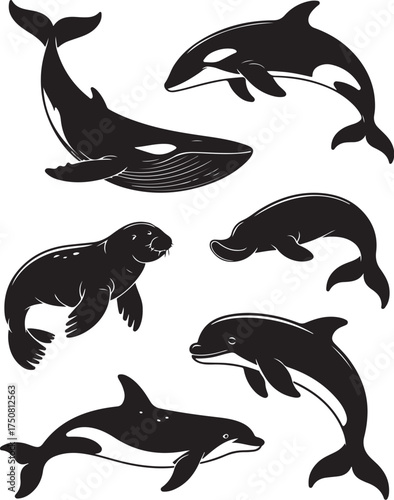 Marine mammals collection: whale, orca, seal, dolphin