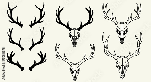 Illustration of deer antlers and skulls in varying styles, presented in a monochrome, vector-based design.