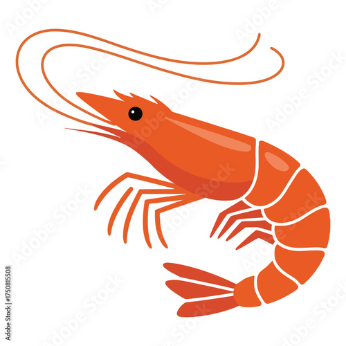 hand holding a shrimp