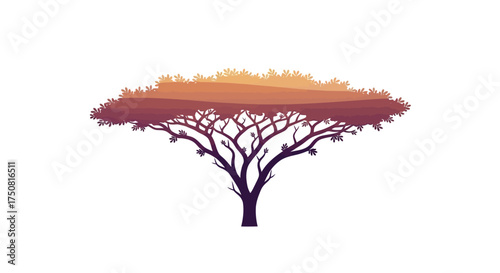 Silhouette of acacia tree at golden hour evoking serene african landscapes and unique desert scenery
