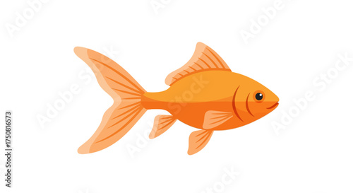 Stylized illustration of an orange goldfish swimming gracefully on a white background