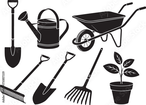 Gardening tools and plant ready for planting