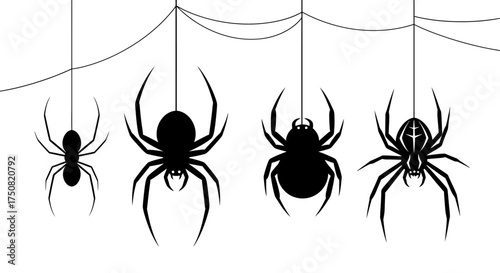 A spooky set of various black spider silhouettes hanging from a web, ideal for creepy Halloween graphic design projects