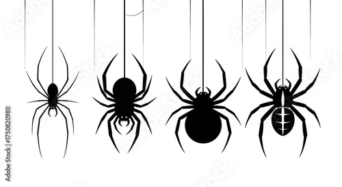 A collection of four distinct black spider silhouettes hanging from silk threads. Vector graphic set of arachnid icons isolated on a white background