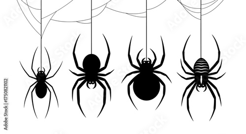 A collection of black spider silhouettes hanging from a spiderweb, isolated vector icon set for Halloween designs